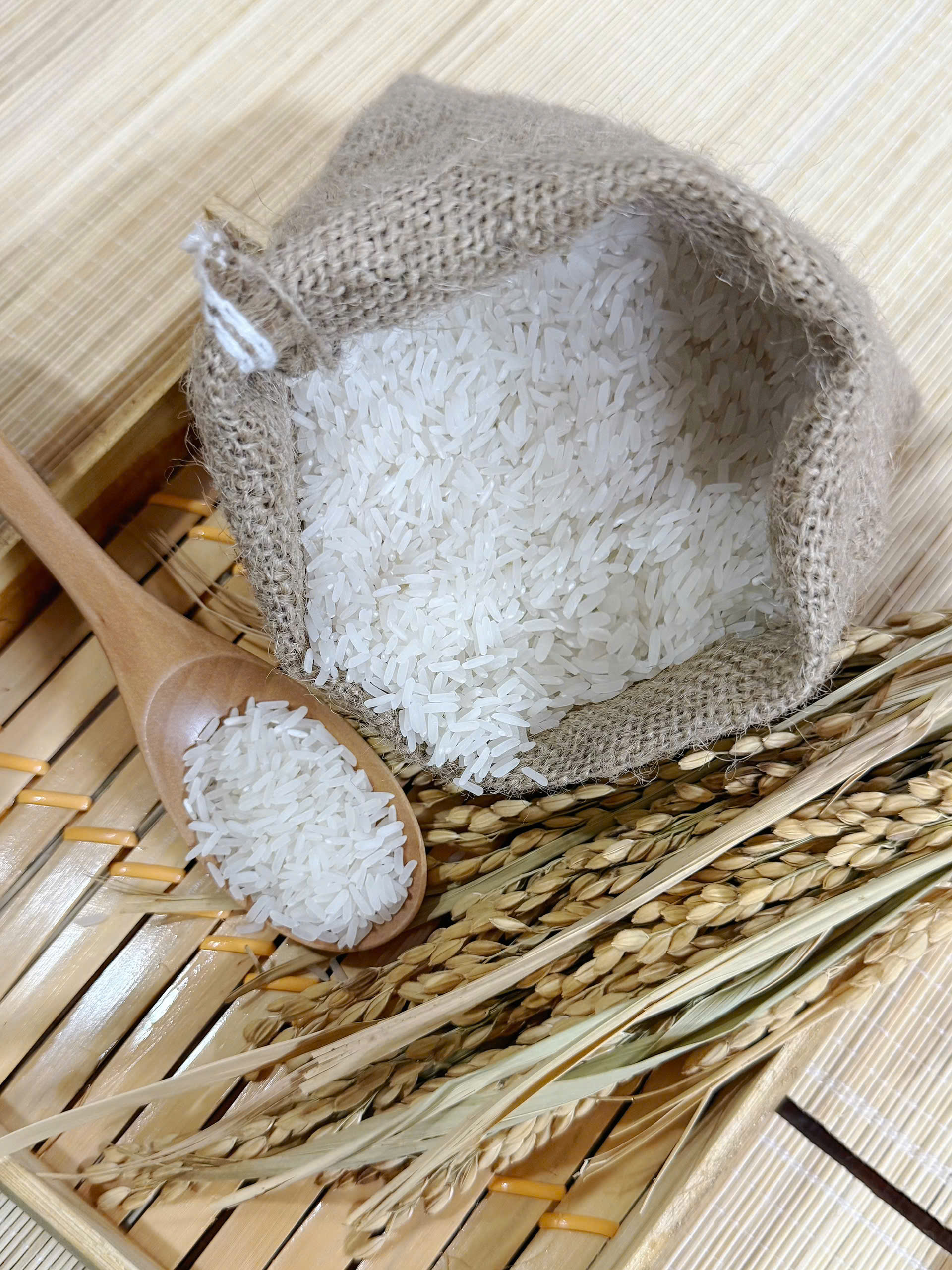 Chất lượng hạt gạo tại Gạo Quang Vinh